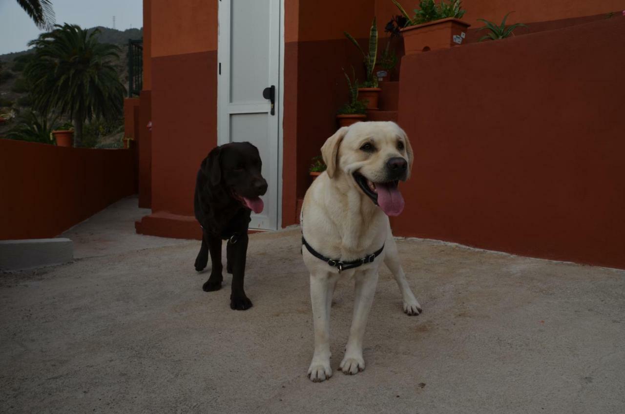 Affittacamere Casa Camilo Vallehermoso Esterno foto